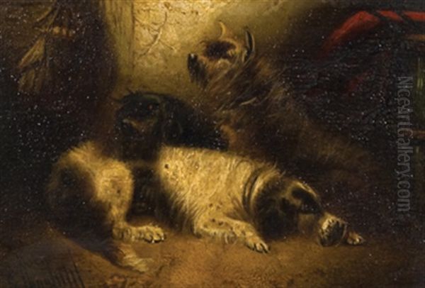 Three Terriers Resting (+ Two Terriers Alert; Pair) - view 1