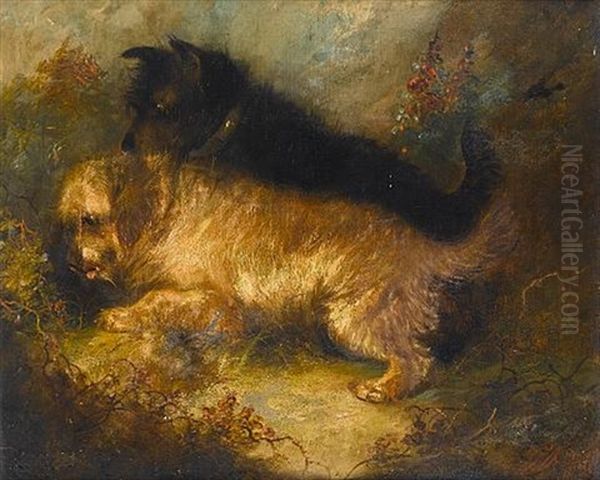 Terriers By A Burrow - view 1