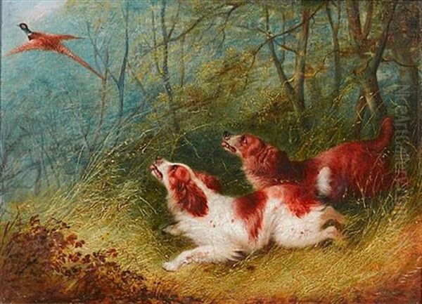 Spaniel Flushing Pheasant - view 1