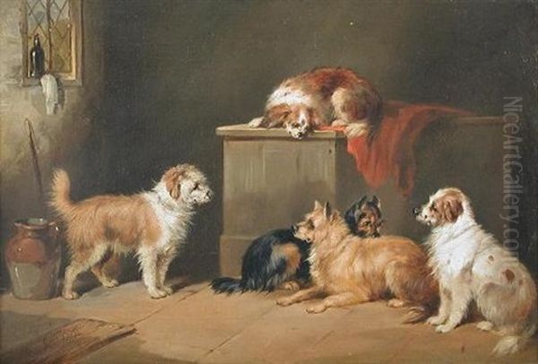 A Stand-off Between Terriers - view 1