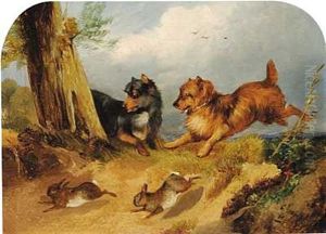 To Hunde Der Jagter Harer