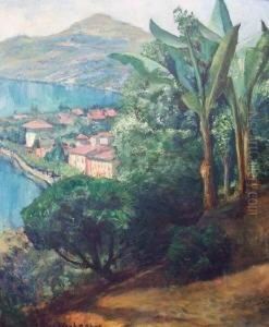 Italienische Seenlandschaft Mit Palmen