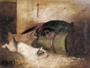Terriers Ratting (pair)