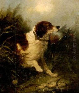 Spaniel Retrieving A Mallard by George Armfield
