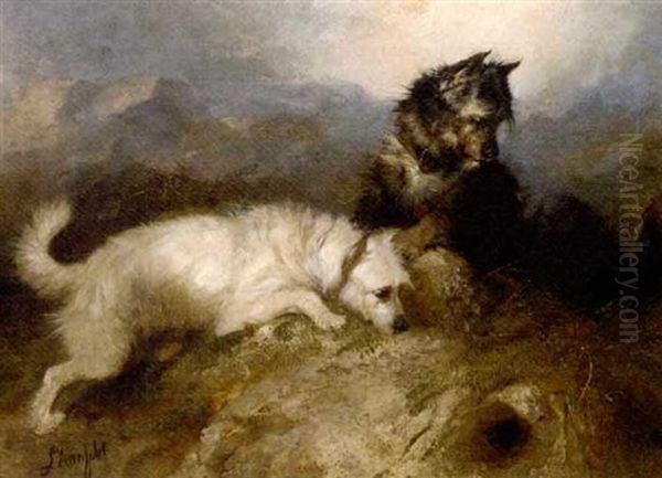 Terries At A Rabbit Hole - view 1