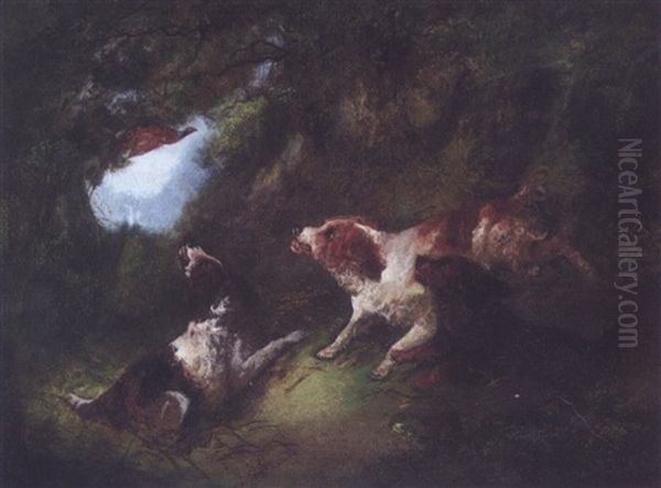 Dogs Hunting Pheasant - view 1