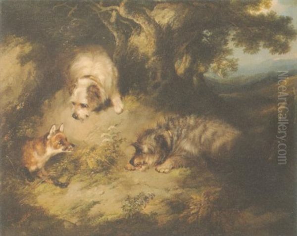 Terriers Approaching A Fox In A Wooded Landscape - view 1