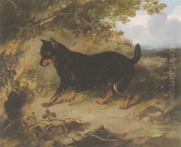 A Manchester Terrier In A Landscape - view 1