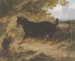 A Manchester Terrier In A Landscape by George Armfield