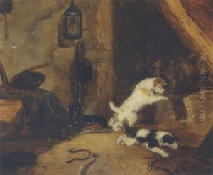 Hunde Alene I Vaerkstedet