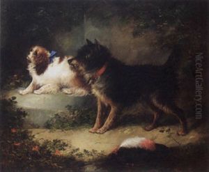 A Spaniel And A Terrier A Spaniel And A Terrier