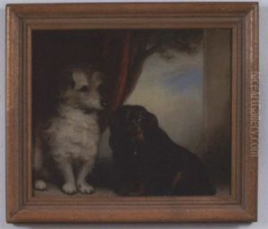 Companions Companions
