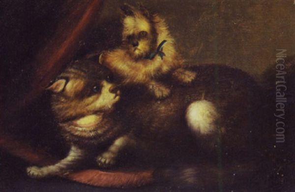 Friends - A Terrier Pup And The Old Cat - view 1