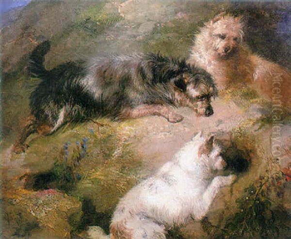 Terriers Waiting By A Rabbit Hole - view 1