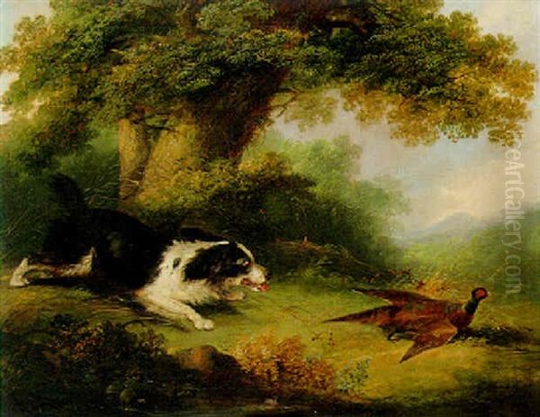 Spaniel And Pheasant - view 1