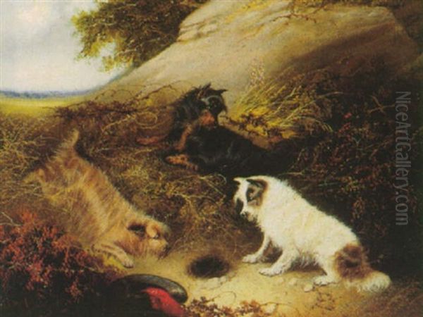 Terrier Ved En Raevegrav - view 1