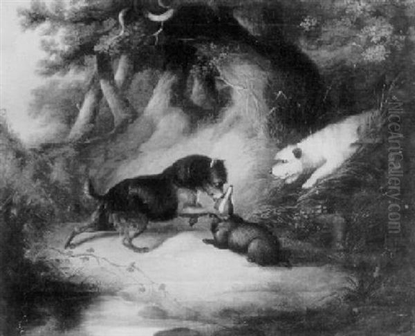 The Badger Hunt - view 1