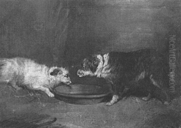 Dogs At Their Dish - view 1