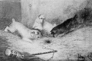 Terriers Ratting In A Stable by George Armfield