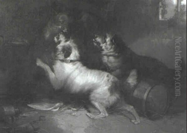 Two Terriers Attacking A Fox - view 1