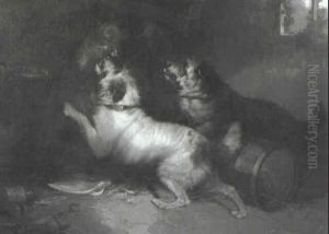Two Terriers Attacking A Fox