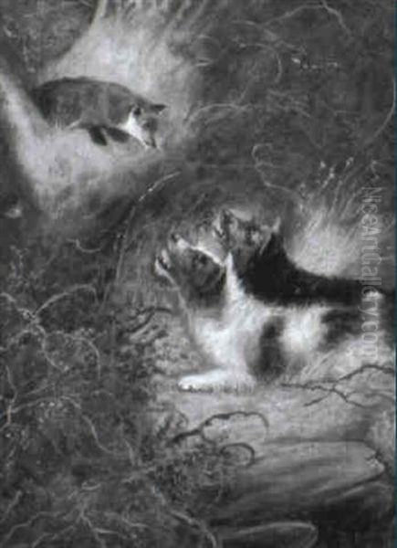 Fuchs, Von Jagdhunden Gestellt - view 1