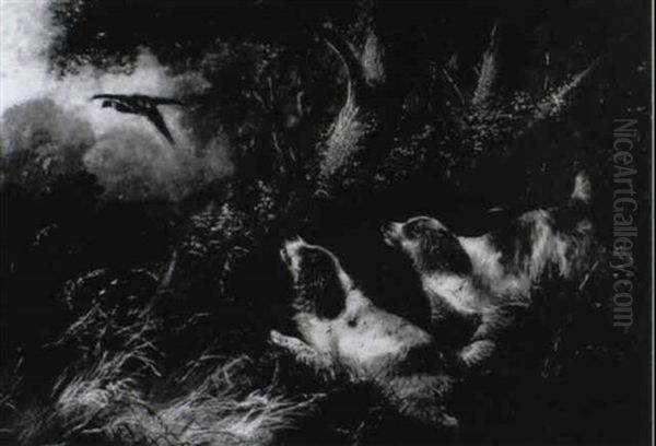Spainiels Flushing A Pheasant In A Wooded Landscape - view 1