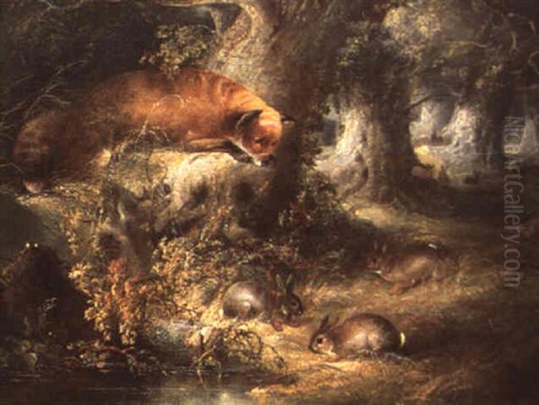 In The Rabbit Wood - view 1