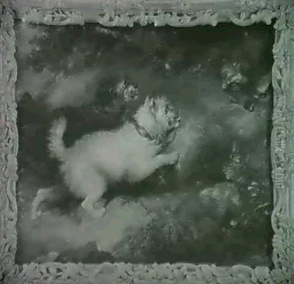 To Hunde Pa Raevejagt - view 1