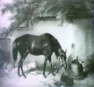 A Dark Bay Horse, A Dog And Two Doves In A Yard