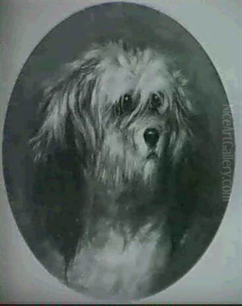 Head Of A Terrier - view 1