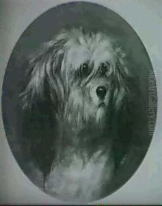 Head Of A Terrier