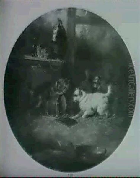 The Search - view 1