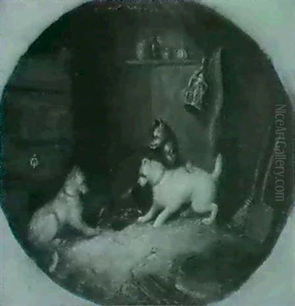 Who Said Rats - view 1
