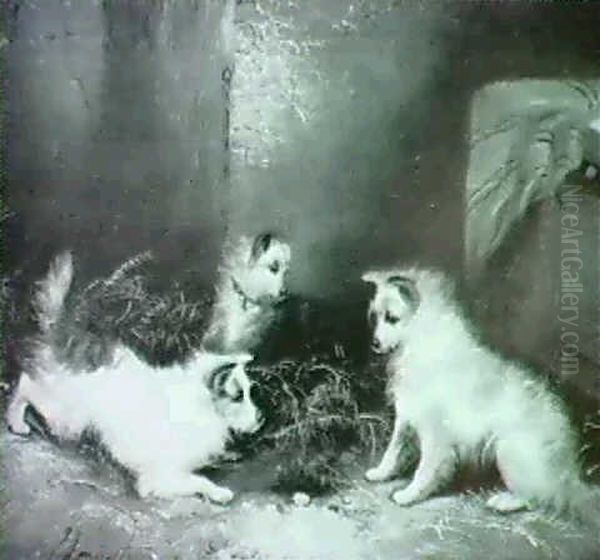 Three Dogs Ratting - view 1