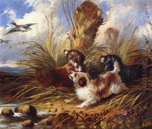 Hunde Und Wildenten