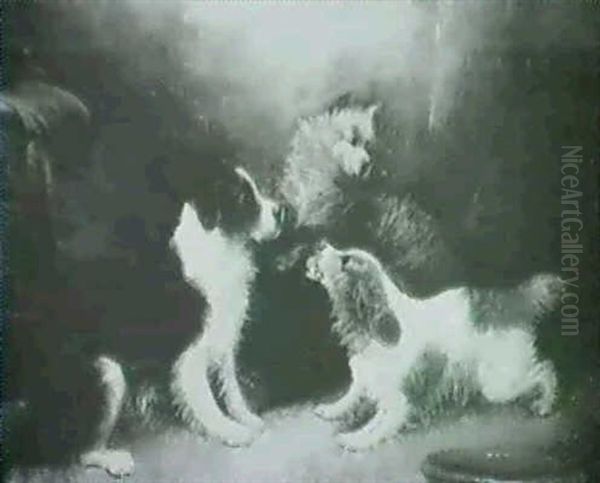 Playful Terriers - view 1