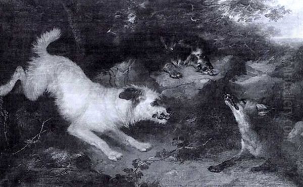 Terriers Rounding On A Fox - view 1