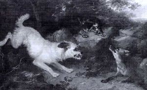 Terriers Rounding On A Fox by George Armfield