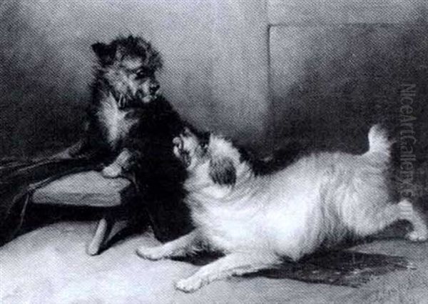 Playful Terriers - view 1
