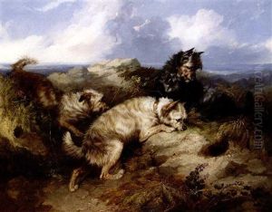 Three Cairns Rabbiting by George Armfield