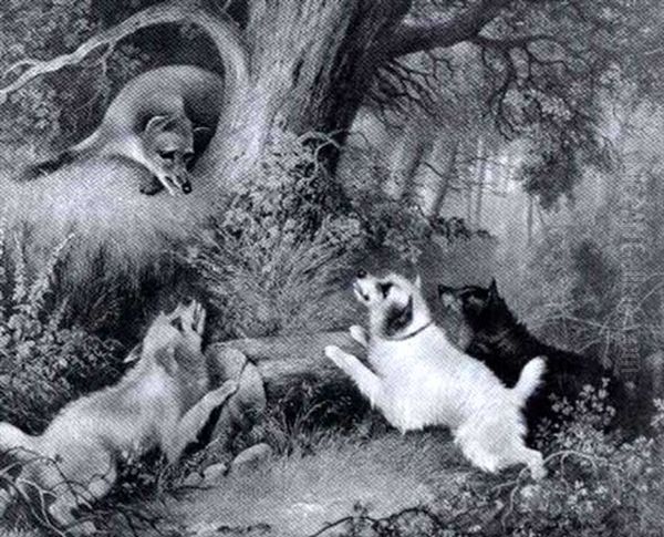 Fox And Terriers At Play - view 1