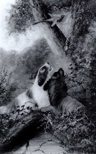 Two Spaniels Flushing A Phesant In A Wooded Landscape - view 1