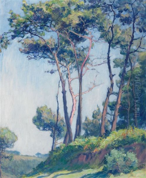 Les Pins A St. Efflam - view 1