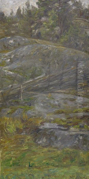 Skogsinterior Fran Morotsvik - Orno - view 1