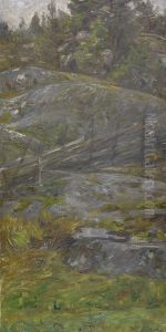 Skogsinterior Fran Morotsvik - Orno