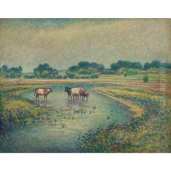 Cows Watering - view 1