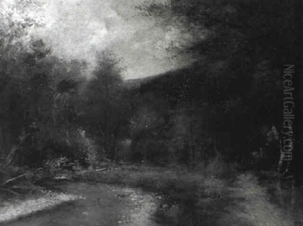 Stream Through A Forest - view 1