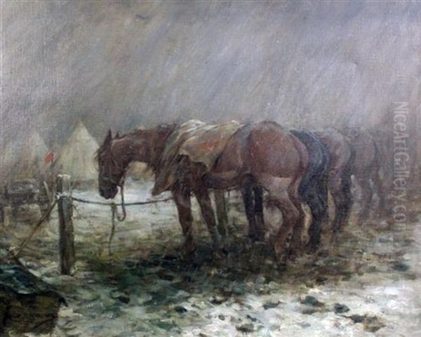 War Horses Resting On The Western Front - view 1