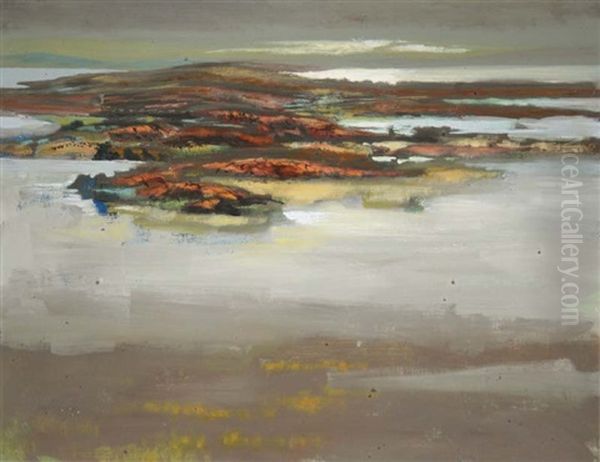 Low Tide, Roundstone - view 1